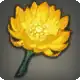 Nopaliflower icon