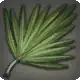 Carnauba Leaf icon