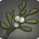 Mistletoe icon