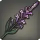 Noble Sage icon