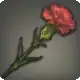 Carnation icon