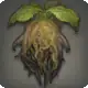 Mandrake icon
