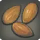 Almonds icon