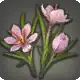 Desert Saffron icon