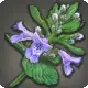 Gaelicatnip icon