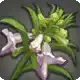 Urqopacha Flax icon
