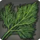Fennel icon