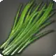 Green Leek icon