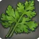 Water Mint icon