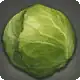 Sun Cabbage icon