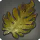Ruby Tide Kelp icon