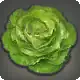 Rarefied Iceberg Lettuce icon