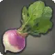 Garden Beet icon