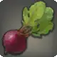Beet icon