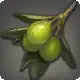 Cinderfoot Olive icon
