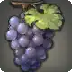 Lowland Grapes icon