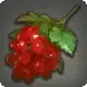 Blood Currants icon
