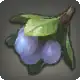 Pixie Plums icon