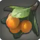 Apricot icon