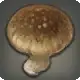 Chanterelle icon