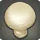 Button Mushroom icon