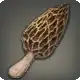 Morel icon