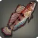 Thavnairian Goby icon