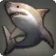 Dusky Shark icon