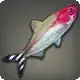 Rummy-nosed Tetra icon