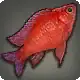 Atamra Cichlid icon