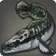 Floral Snakehead icon