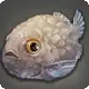 Smooth Lumpfish icon