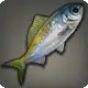 False Fusilier icon
