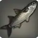Grey Mullet icon