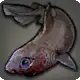 Kitefin Shark icon
