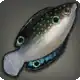 Othardian Wrasse icon
