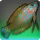Vidyutvat Wrasse icon