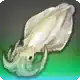 Fleeting Squid icon
