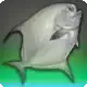 Cabinkeep Permit icon