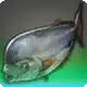 Gondola Louvar icon