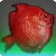 Red Boarfish icon