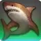 Shined Copper Shark icon
