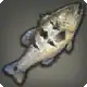 Peacock Bass icon