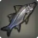 Swordspine Snook icon