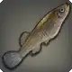 Mosquito Fish icon