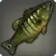 Striped Peacock Bass icon