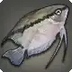 Mesonauta icon