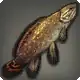 Red Bowfin icon