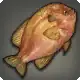 Longear Sunfish icon
