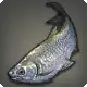 Silver Characin icon